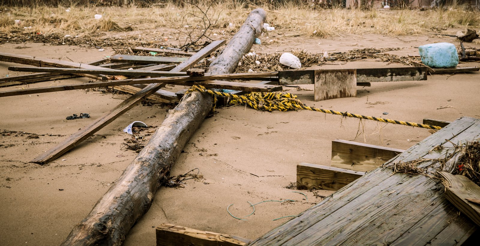 art-of-sandy-mo-staten island 2-76.jpg